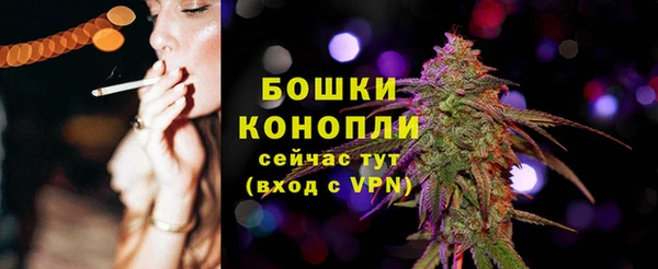 ECSTASY Бородино