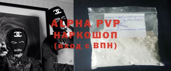 ECSTASY Бородино