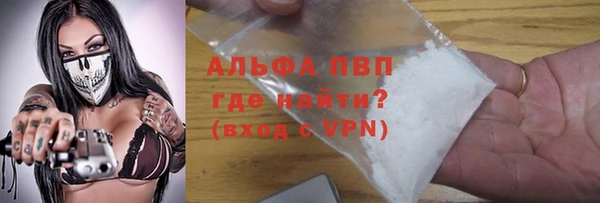 ECSTASY Бородино