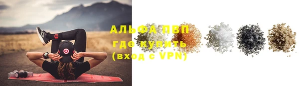 ECSTASY Бородино