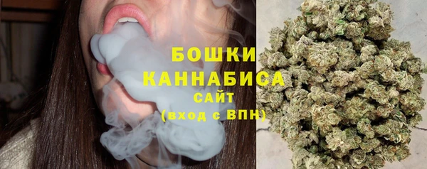 винт Бронницы