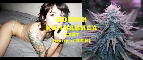 ECSTASY Бородино