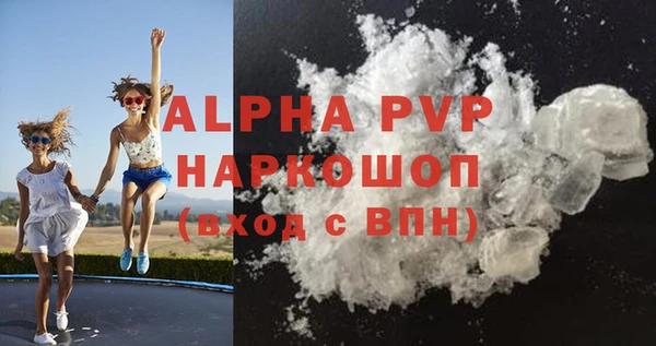 ECSTASY Бородино