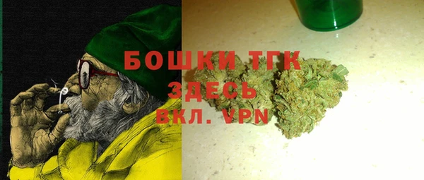 ECSTASY Бородино