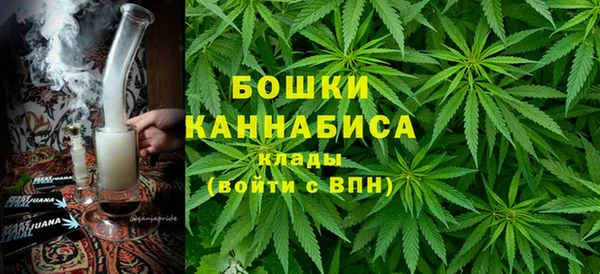 ECSTASY Бородино